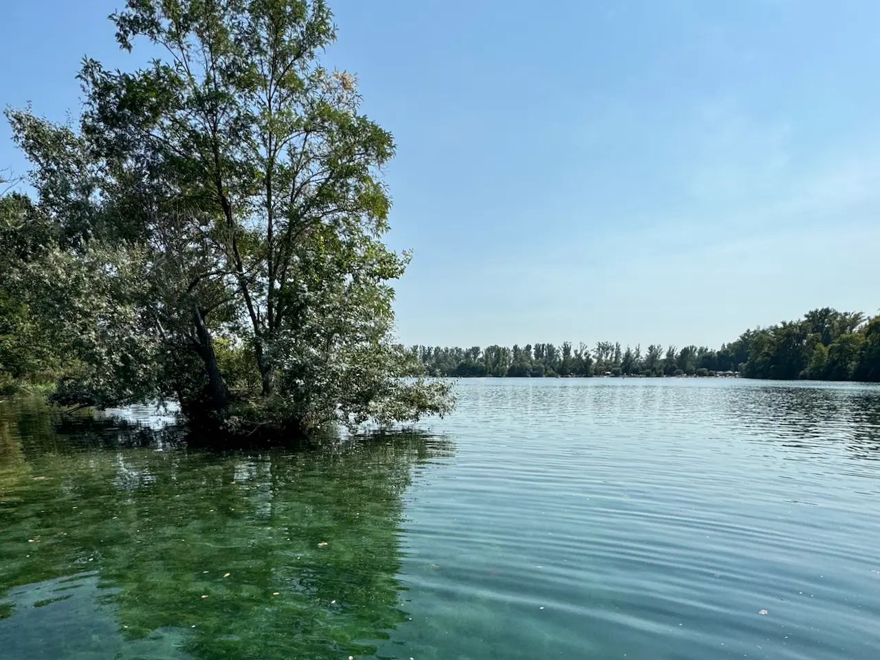 SUP Spot Silbersee Bobenheim-Roxheim Mini-Insel