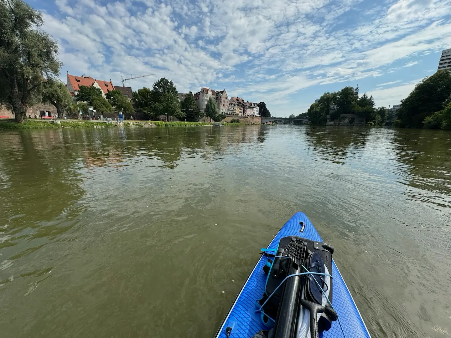 Donau, Donauwiese und Altstadt