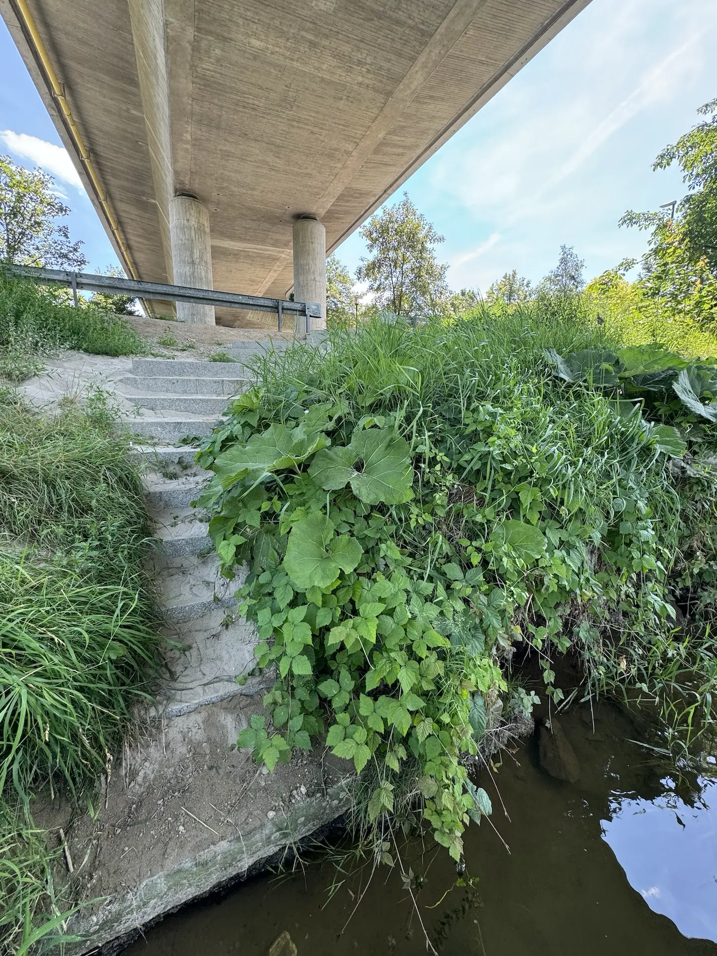 Donau, Ausstieg Bahnhof Leipheim