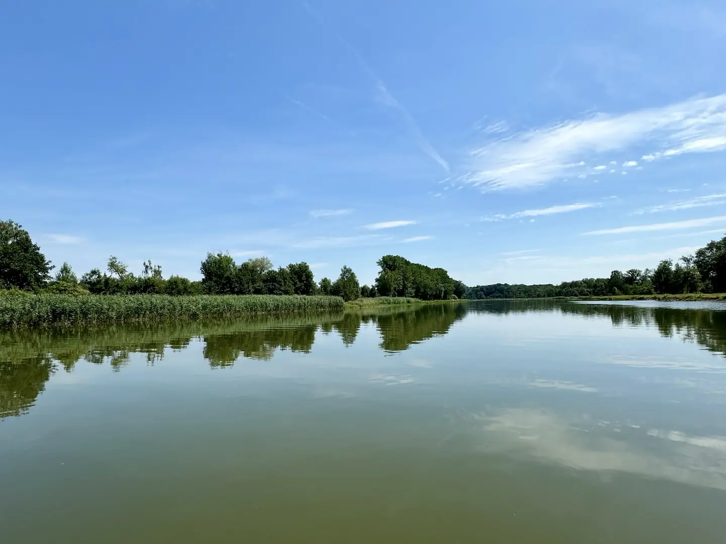 Donau, Naturschutzgebiet zwischen Oberelchingen und Leipheim